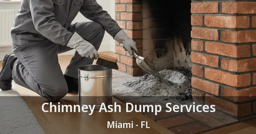 Chimney Ash Dump Services Miami - FL