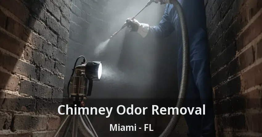 Chimney Odor Removal Miami - FL