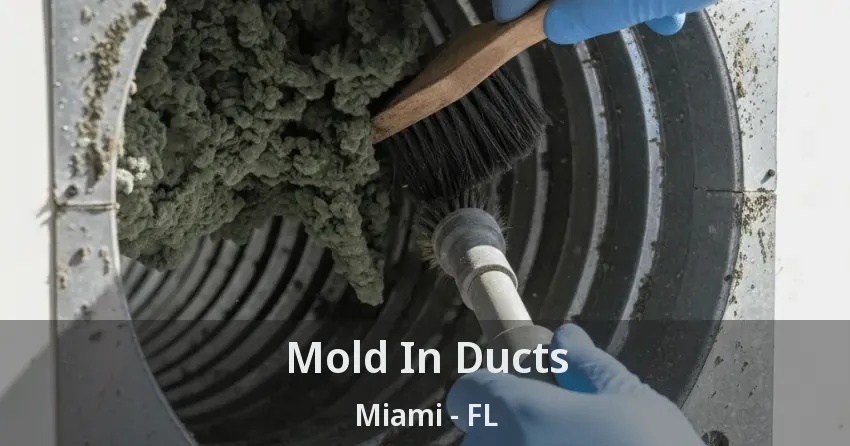 Mold In Ducts Miami - FL