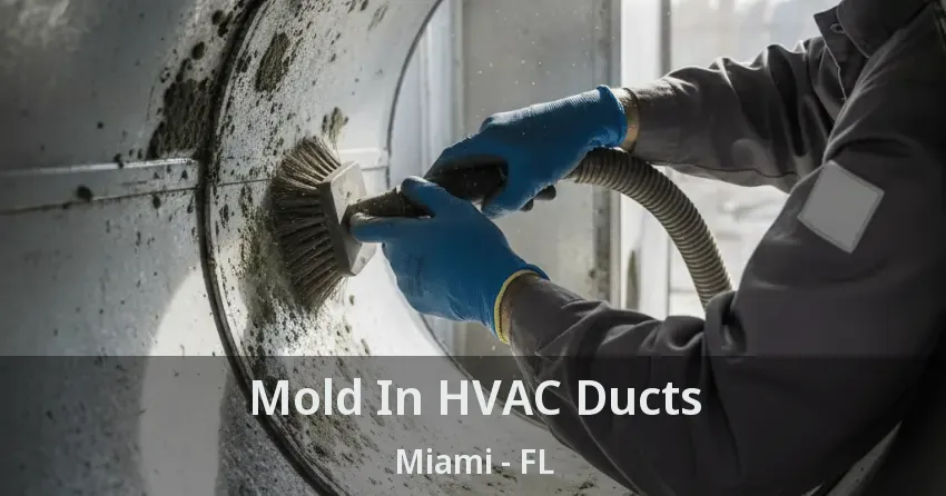 Mold In HVAC Ducts Miami - FL