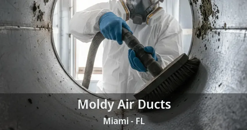 Moldy Air Ducts Miami - FL